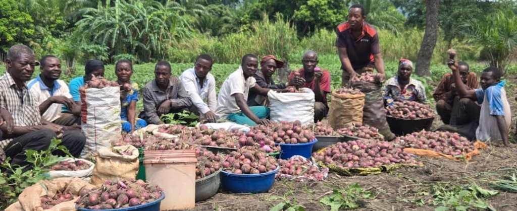 Des résultats satisfaisants au cours de la première année de mise en œuvre de la deuxième phase  du projet 148-030-1018 ZG (Agro – écologie)