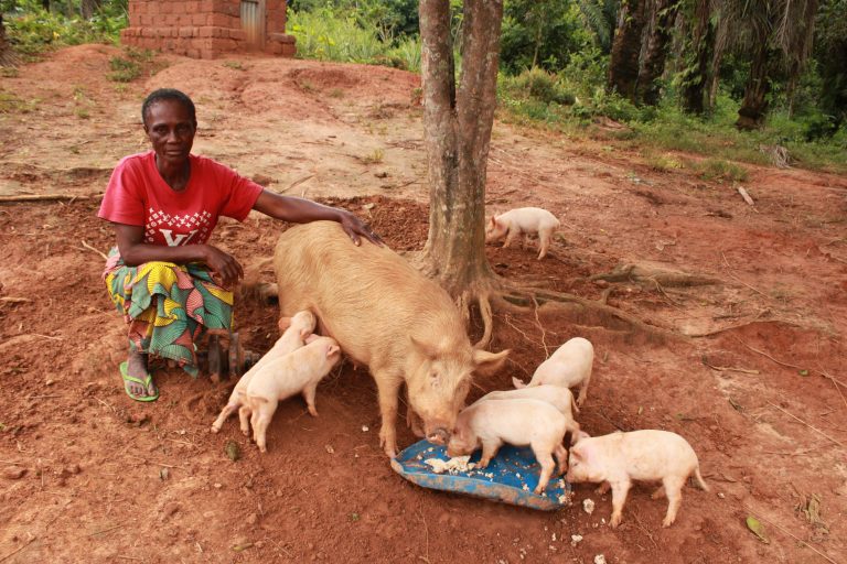 De l’épargne à la stabilité : Madame Nyota Faila fait prospérer sa famille grâce au SILC et à l’élevage